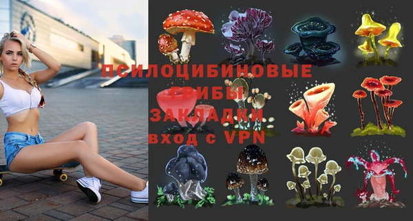 тгк Пересвет