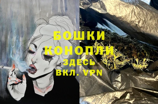 тгк Пересвет