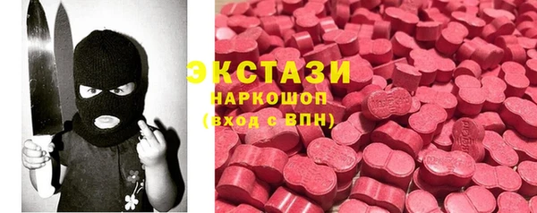 тгк Пересвет