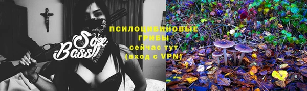 тгк Пересвет