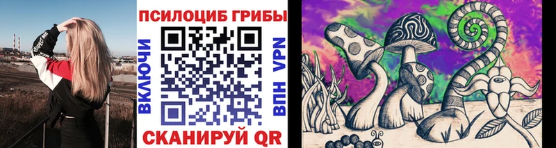 Галлюциногенные грибы Psilocybe  Харовск 
